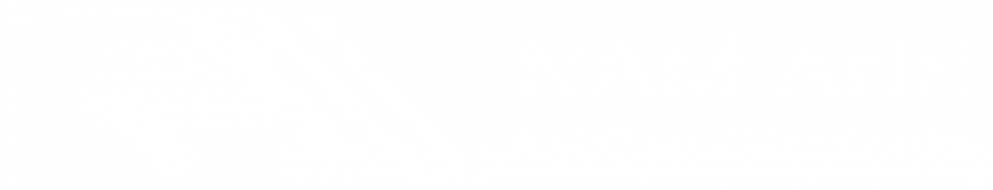 Kiến trúc Nam Anh